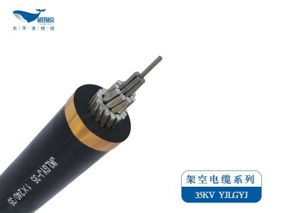 架空電纜系列JKLYJ，JKLGYJ 0.6/1KV