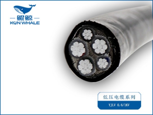 國標(biāo)25平方鋁電線價(jià)格多少錢一米？