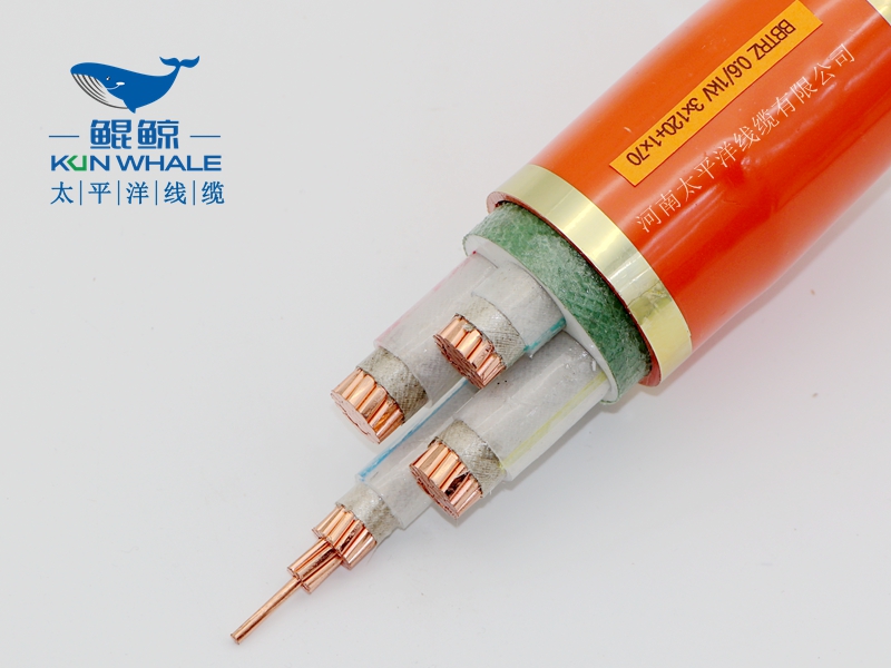 電線電纜廠家淺談什么叫BTTRZ電纜YTTW電纜型號(hào)是什么？